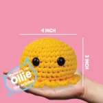 Crochet-Kit-for-Beginners