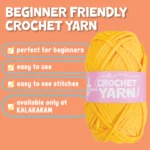 Crochet-Kit-for-Beginners