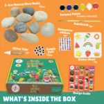 Rock Painting Kit