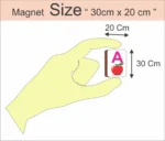 Shiksha Magnetti Capital alphabet with Pictures