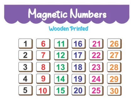 Shiksha Magnetti Count and match Numbers