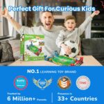 DIY Mini Football, Soccer T