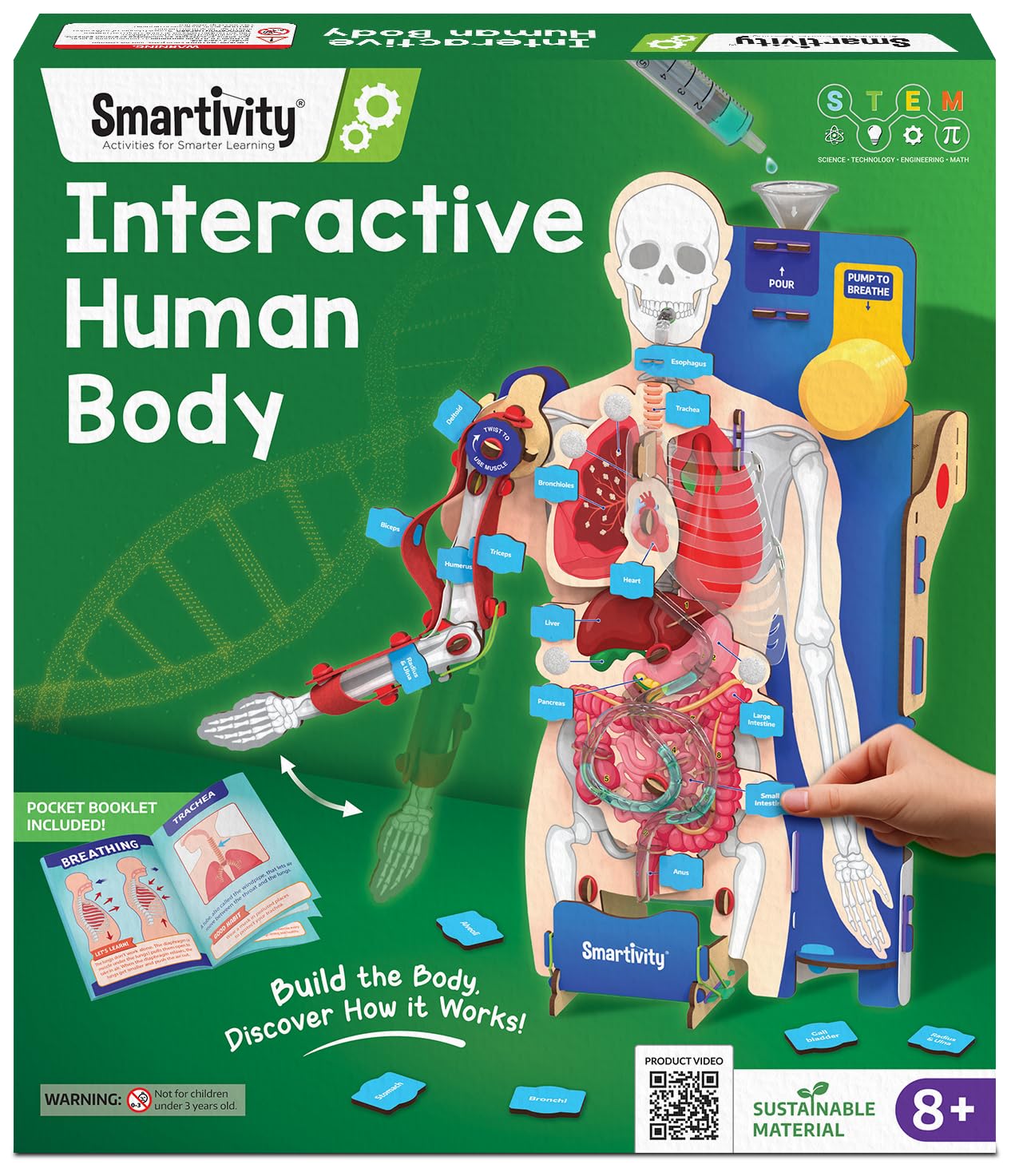 Smartivity Interactive Human Body Model for Kids 8-14 Years