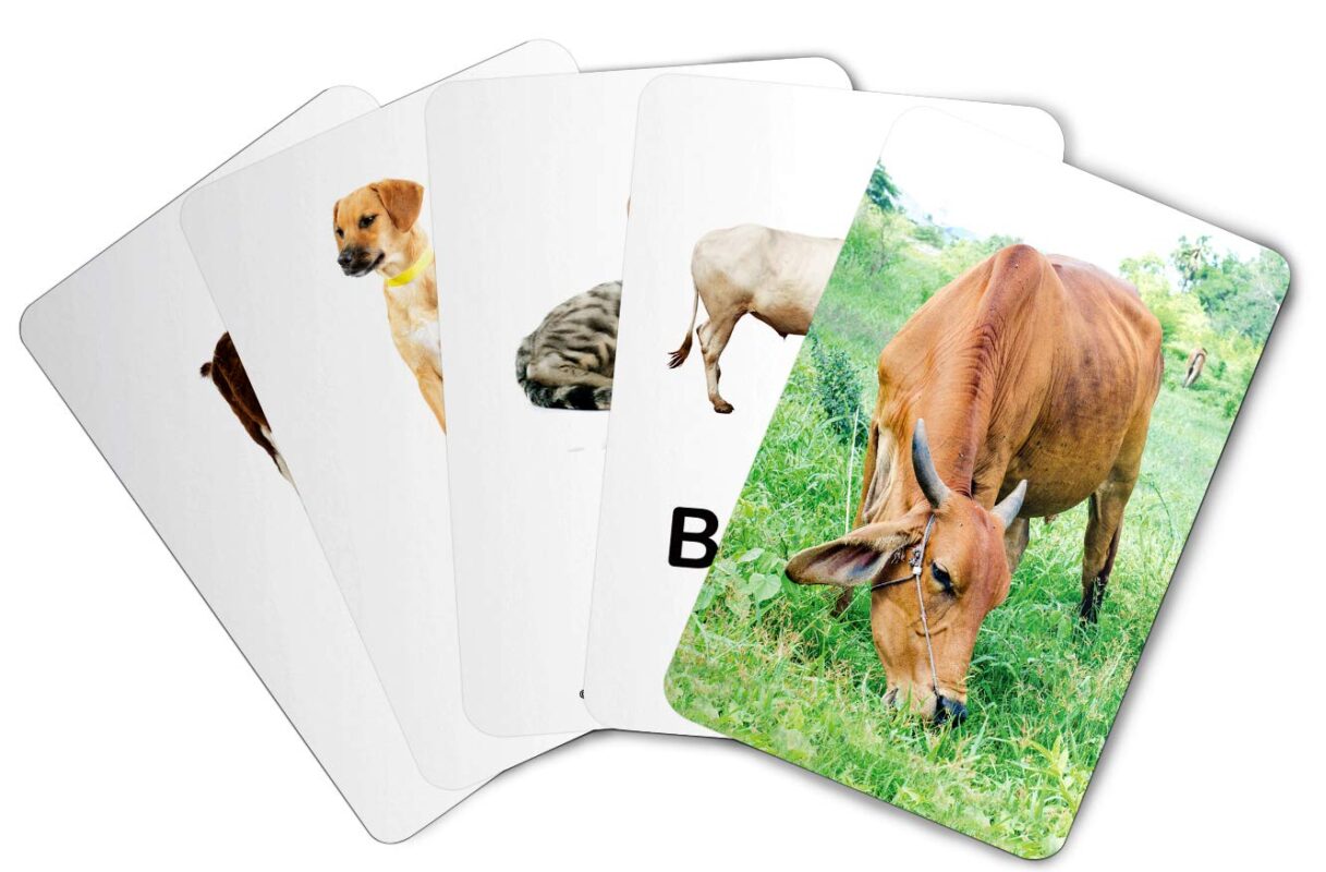 ZiGYASAW-Farm-Animals-Flash-Cards-for-Kids-Early-Learning