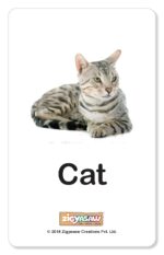 ZiGYASAW-Farm-Animals-Flash-Cards-for-Kids-Early-Learning