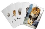 ZiGYASAW-Wild-Animals-Flash-Cards-for-Kids-Early-Learning
