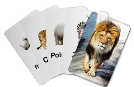ZiGYASAW-Wild-Animals-Flash-Cards-for-Kids-Early-Learning