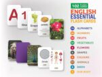 Zigyasaw English Essential Mega Combo Flash Cards - Early Learning (Set of 10) | Easy & Fun Way of Learning for 3 Years+ Old Kids - 102 Cards Set