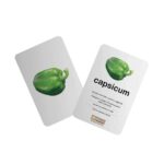Zigyasaw Vegetables Flash Cards